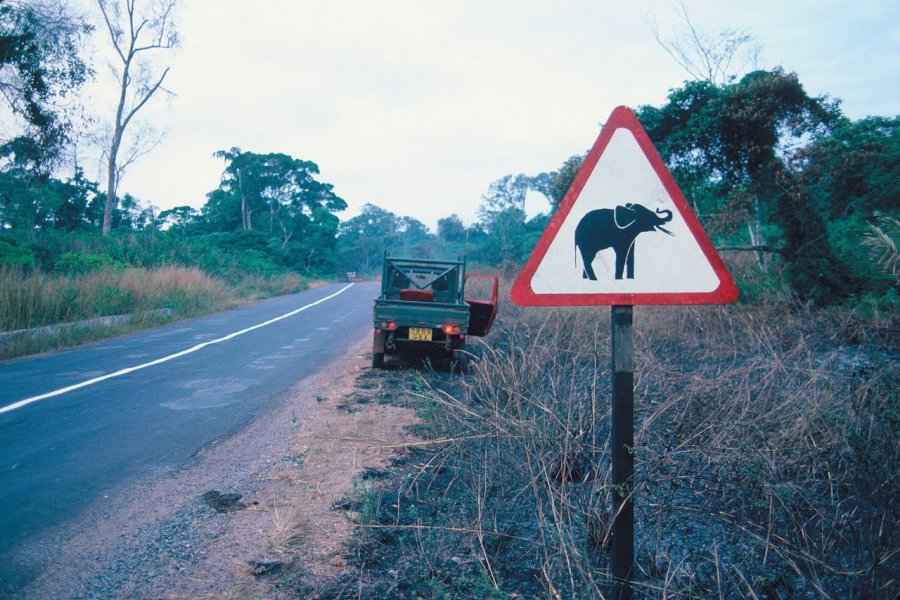 Panneau routier attention aux éléphants. Ismaël Schwartz - Iconotec