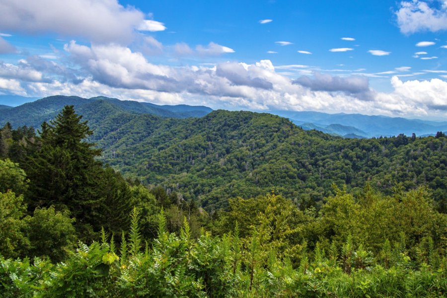 NEWFOUND GAP