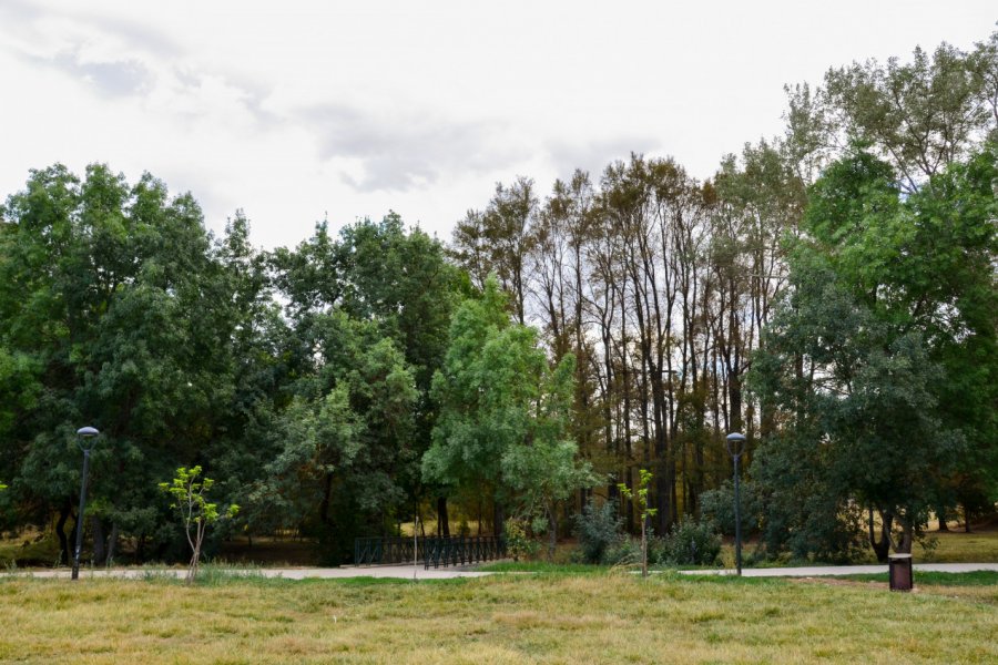 PARC NATIONAL D'IFRANE