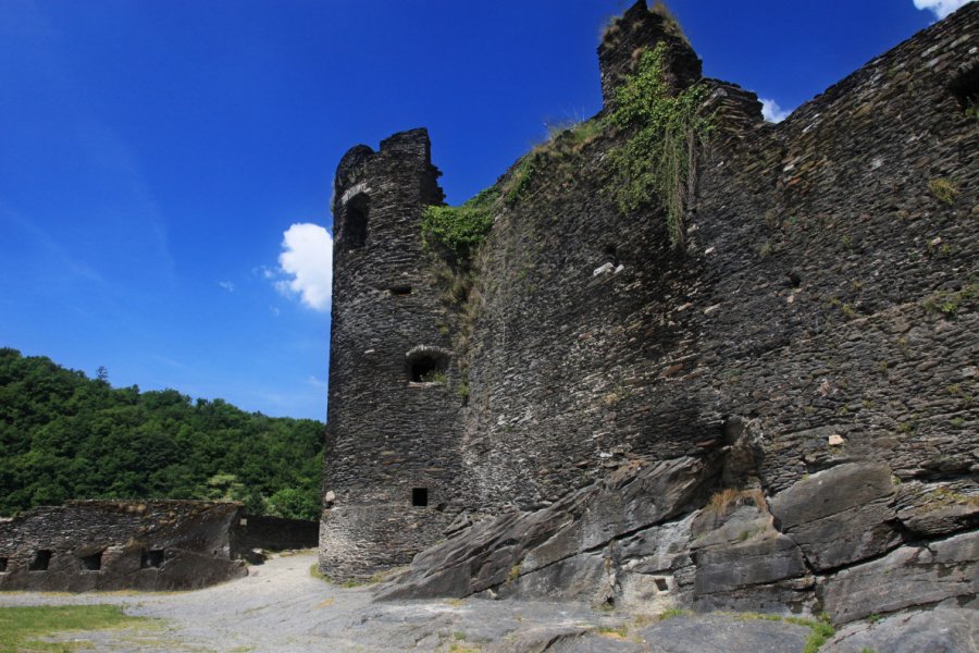 CHÂTEAU DE LA ROCHE