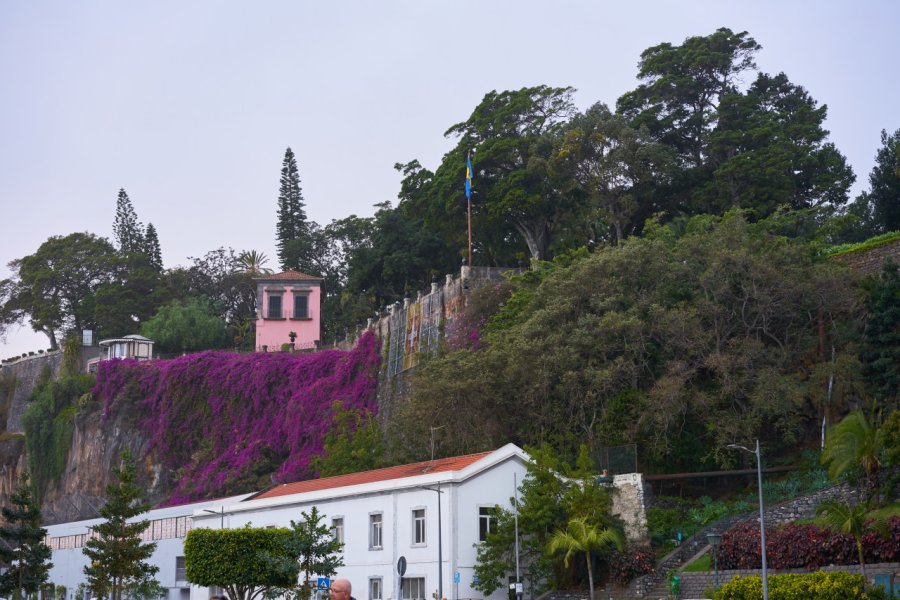 QUINTA VIGIA