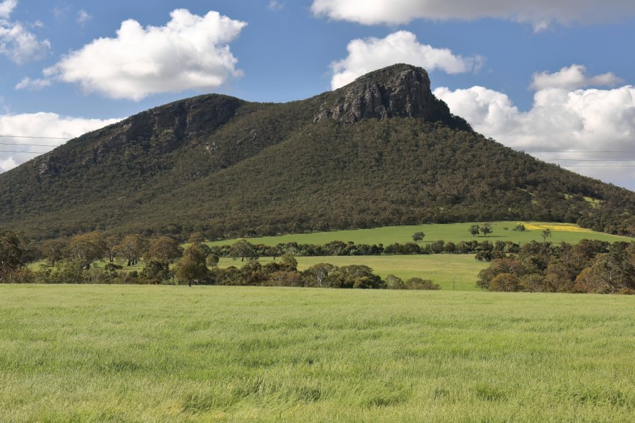 MOUNT STURGEON