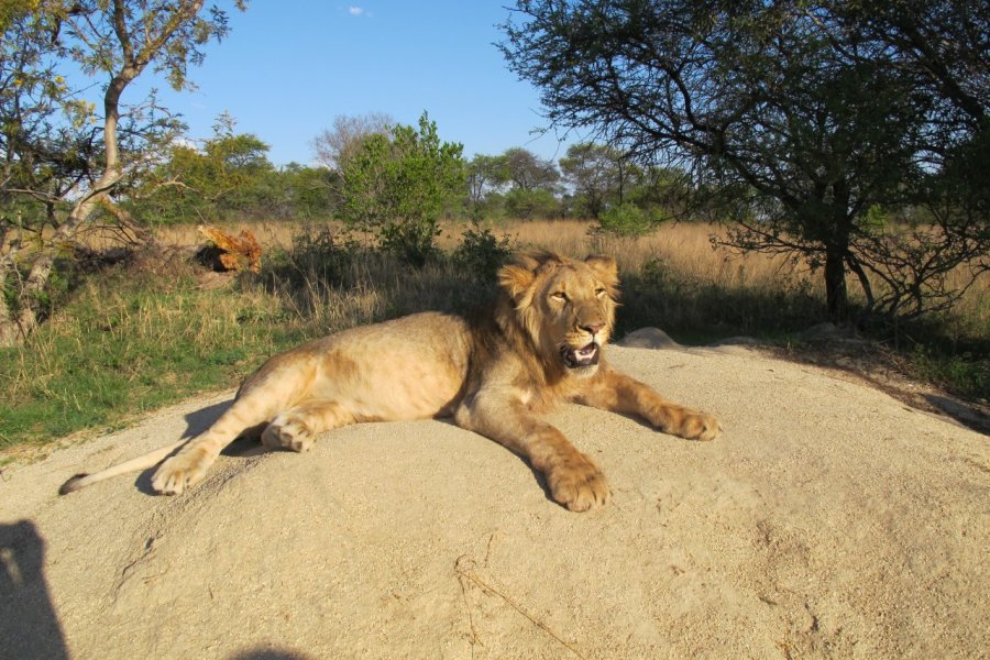 ANTELOPE GAME PARK