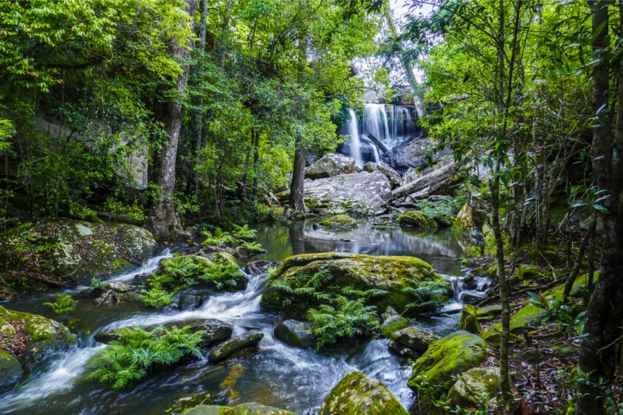 PHU KRADUENG NATIONAL PARK