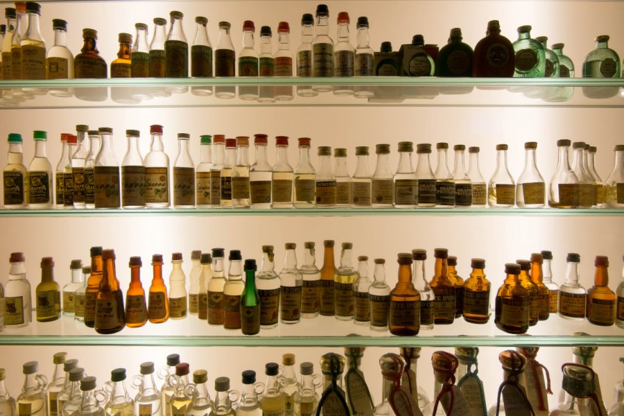 POLI MUSEO DELLA GRAPPA
