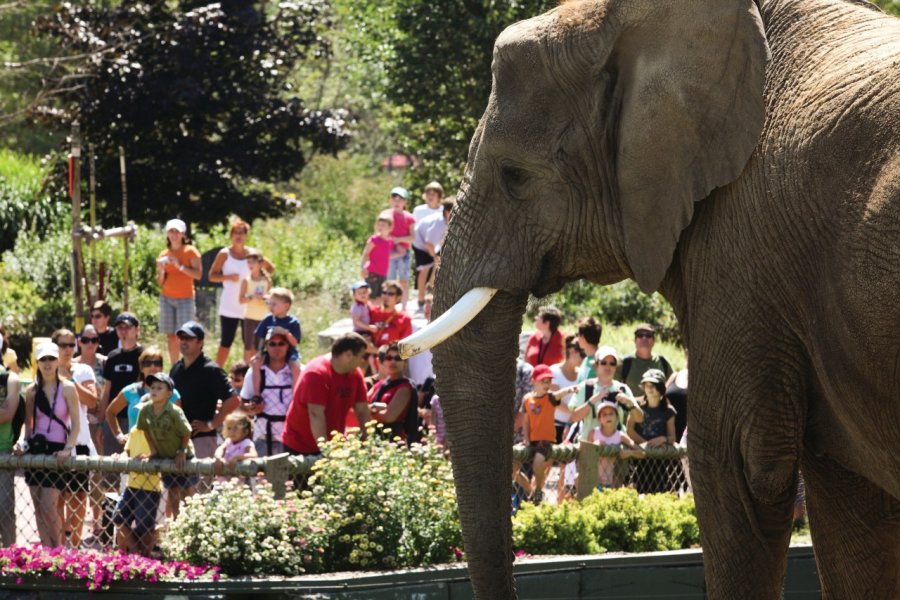 ZOO DE GRANBY