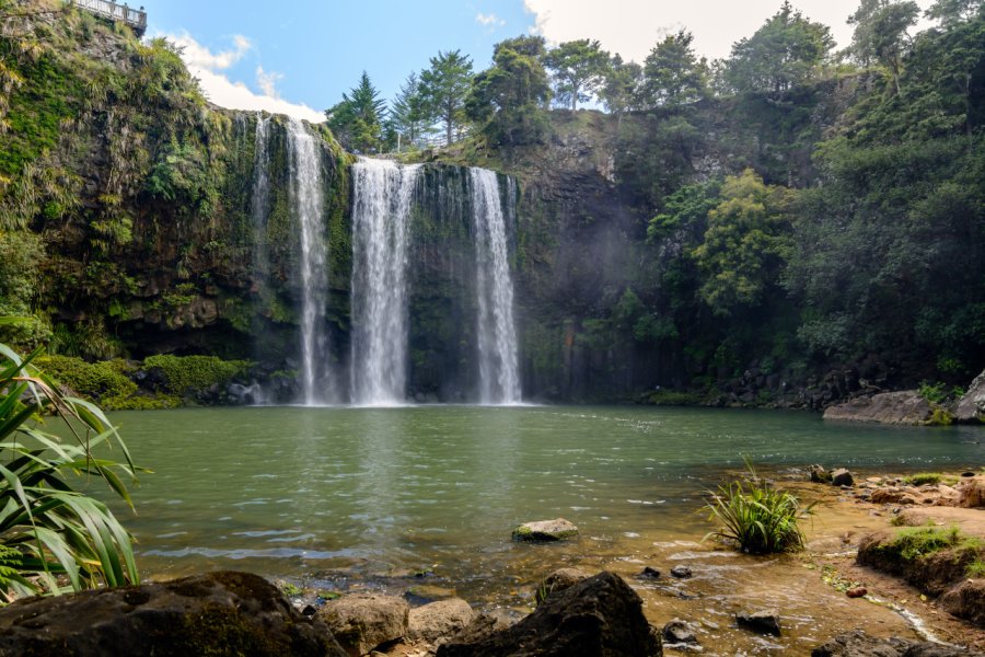 WHANGAREI WATERFALLS