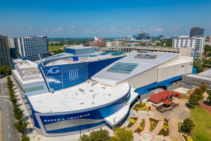 GEORGIA AQUARIUM
