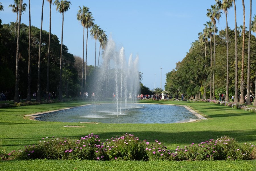 JARDIN D'ESSAI DU HAMMA
