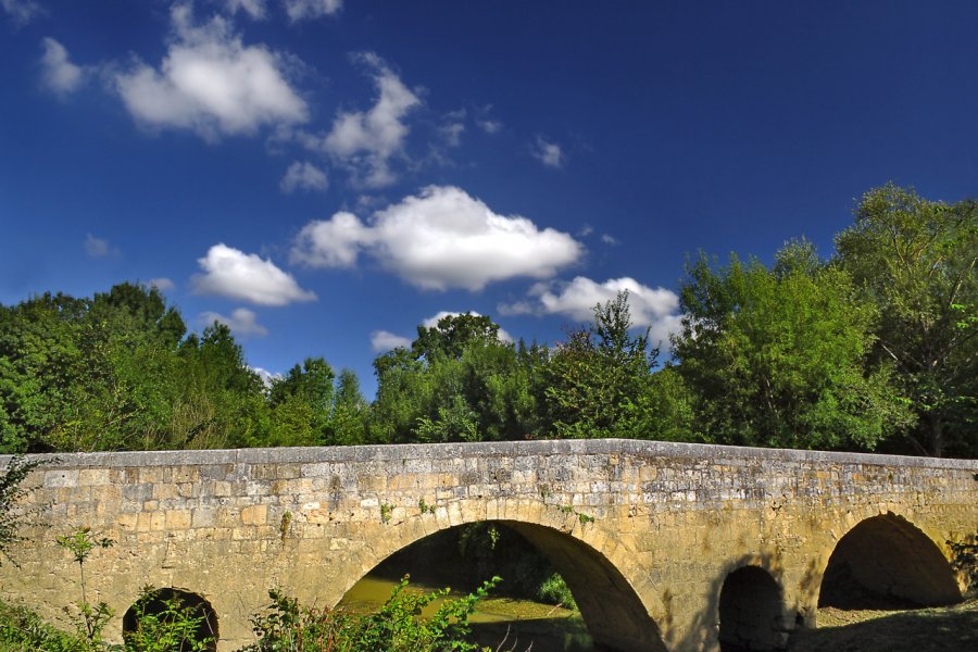 LE PONT D'ARTIGUES