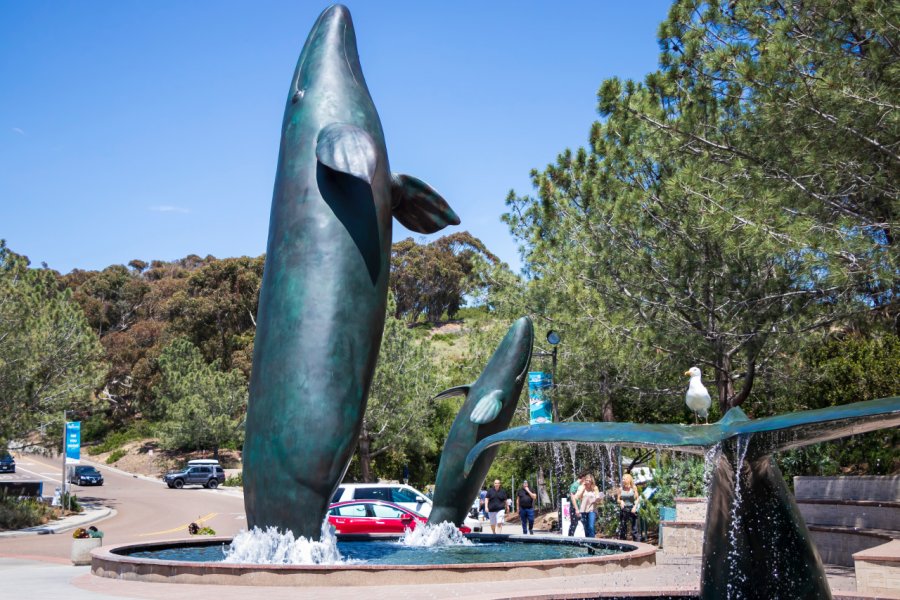 BIRCH AQUARIUM AT SCRIPPS