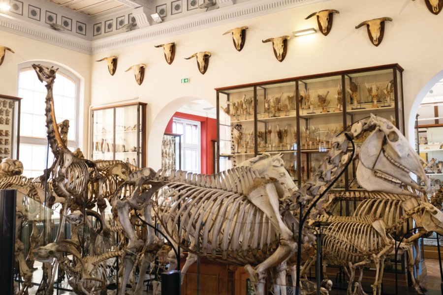 MUSÉE FRAGONARD