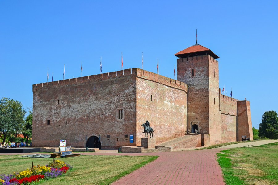 CHÂTEAU DE GYULA