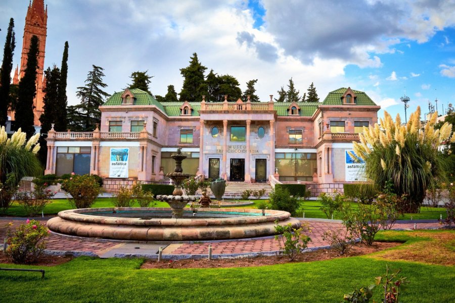 MUSEO FRANCISCO GOITIA
