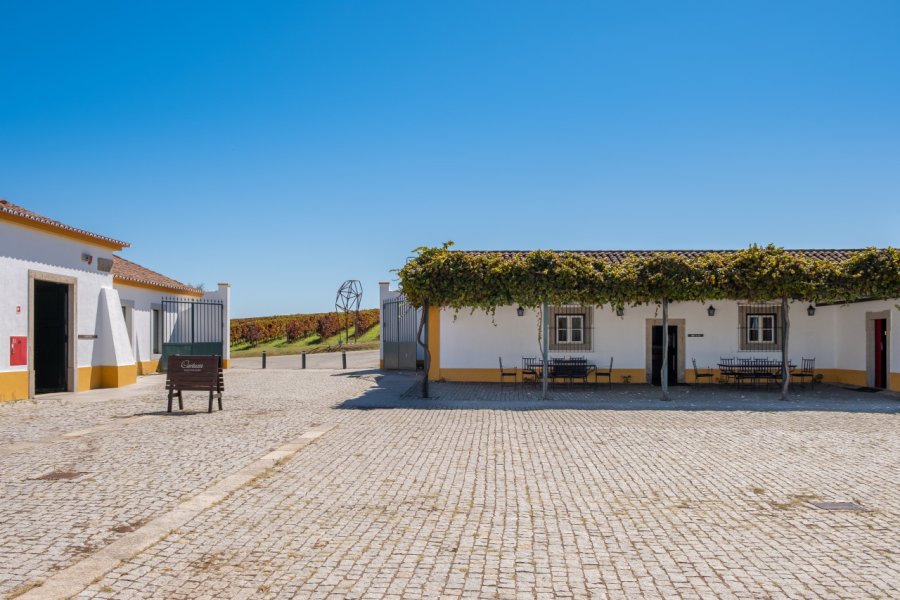 ROTA DO VINHO DO ALENTEJO