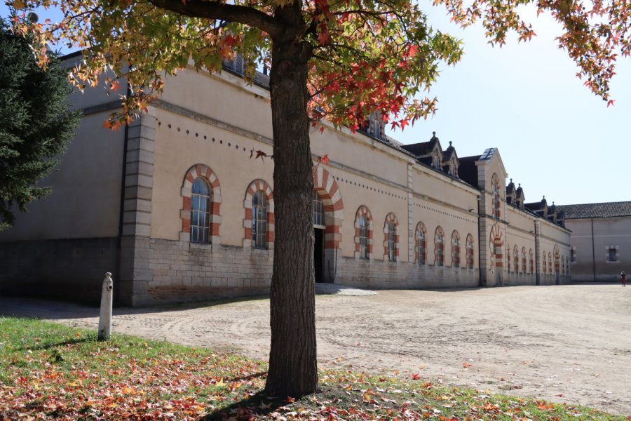 HARAS NATIONAL DE CLUNY