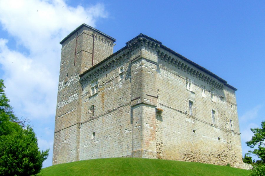CHÂTEAU DE PLIEUX