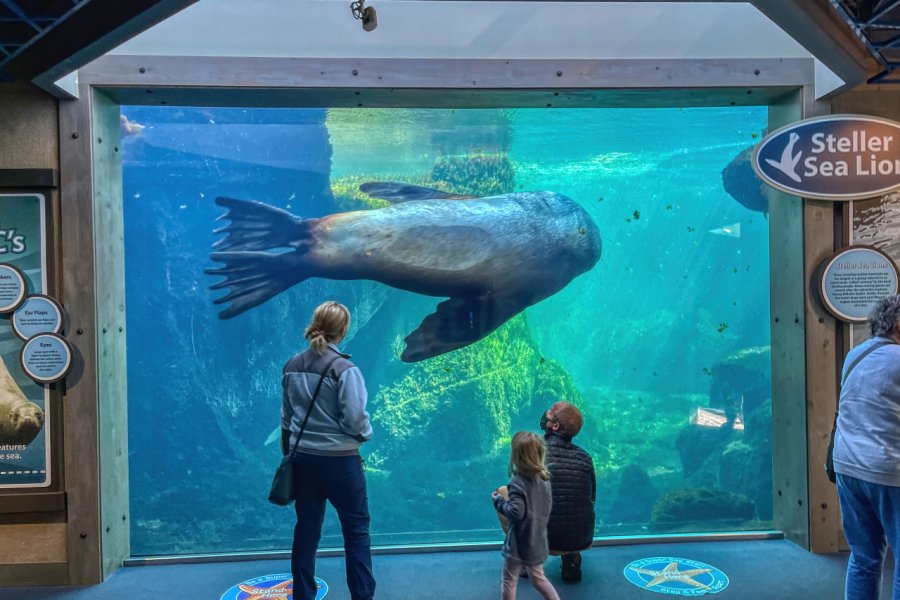 ALASKA SEALIFE CENTER