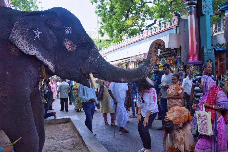 MANAKULA VINAYAGAR TEMPLE