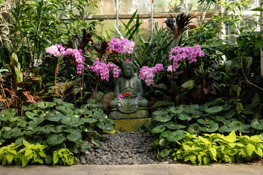 MARIE SELBY BOTANICAL GARDENS
