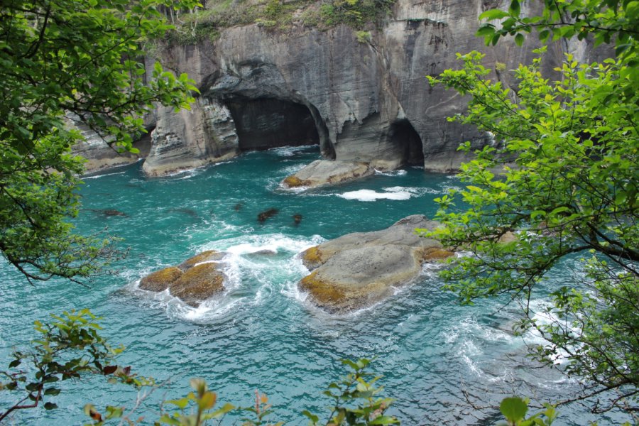 CAPE FLATTERY