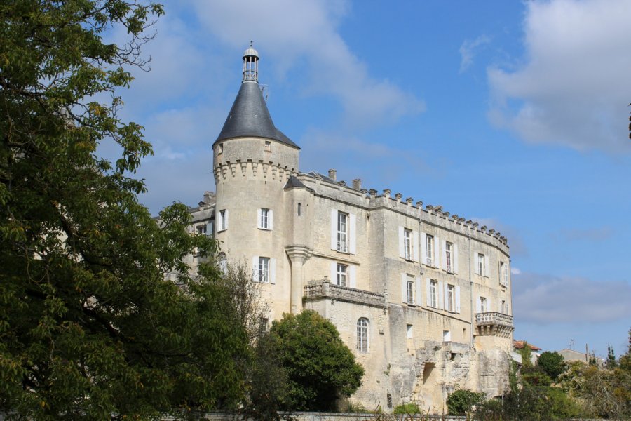 CHÂTEAU DE JONZAC