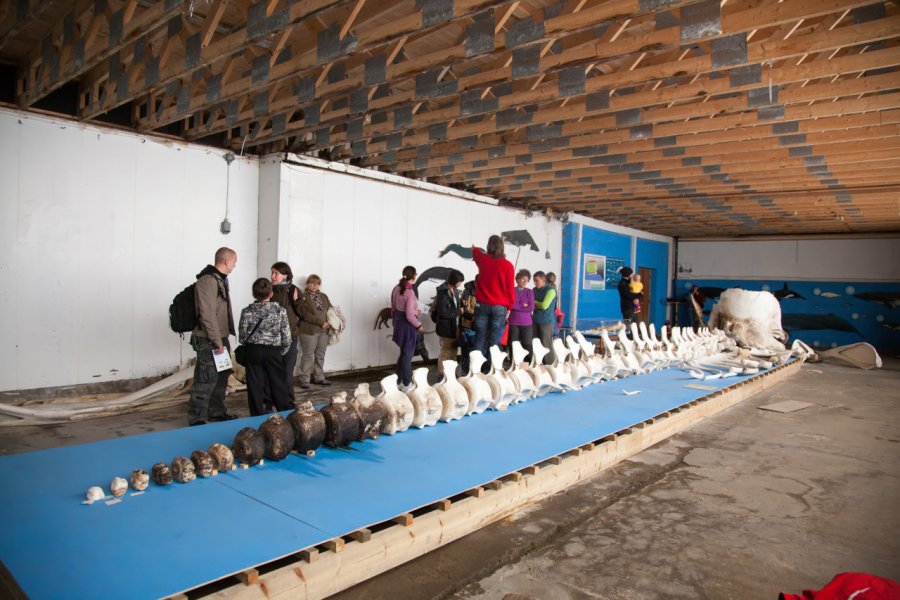MUSÉE DES BALEINES (WHALE CENTER)