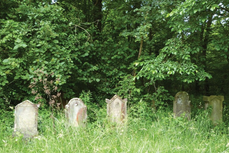 Tombes anciennes du cimetière juif de Mackenheim. Marie Catherine ACH