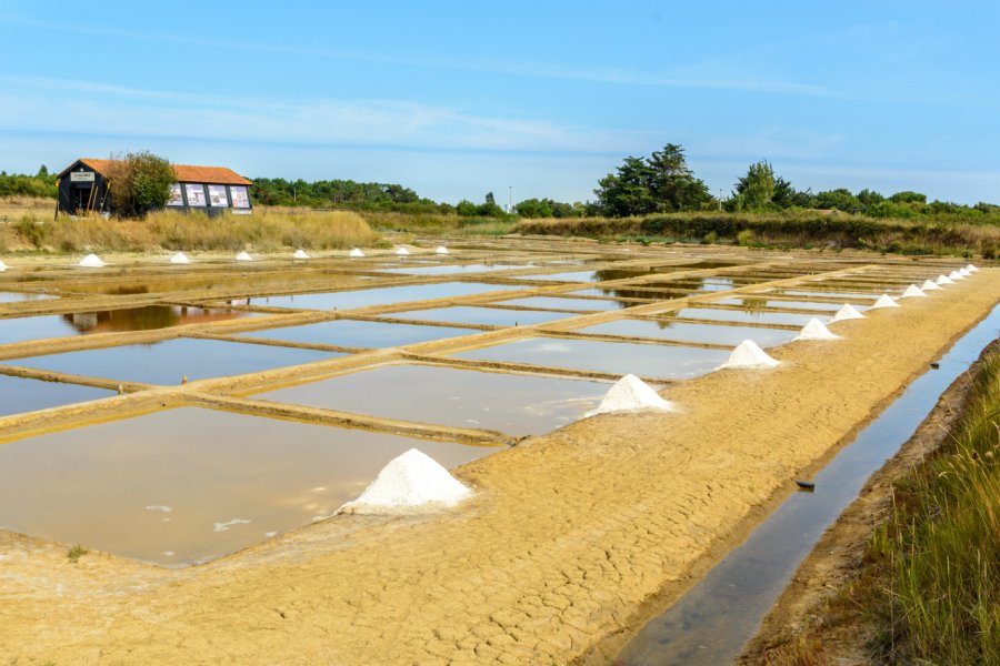 LE PORT DES SALINES