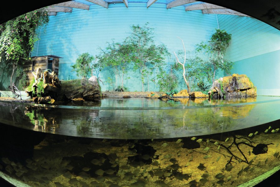 AQUARIUM DE VENDÉE