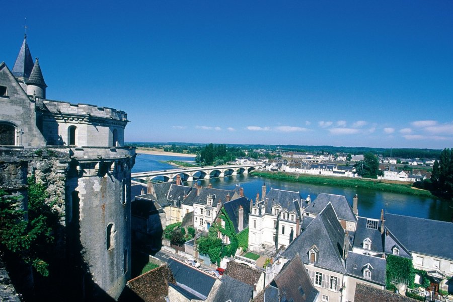 Vue d'Amboise depuis le château DANIÈLE CATI - ICONOTEC