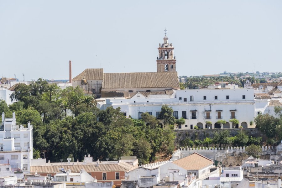 PALACIO DUCAL DE MEDINA SIDONIA