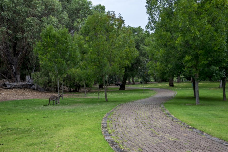 YANCHEP NATIONAL PARK