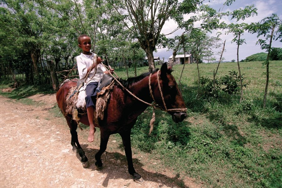 Cavalier dans le parc national Los Haïtises. Author's Image
