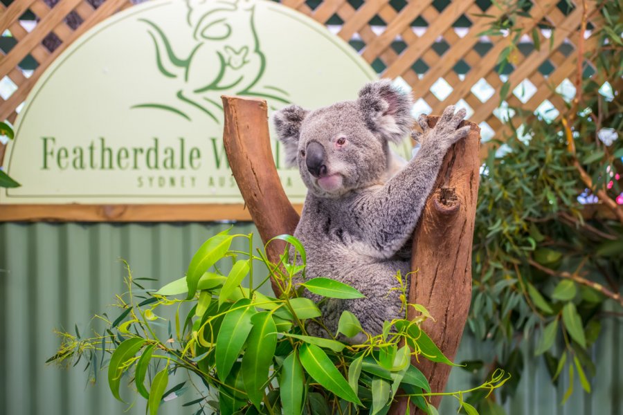 FEATHERDALE WILDLIFE PARK