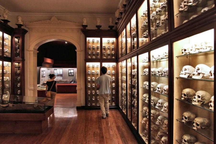 MUSÉE CANARIO