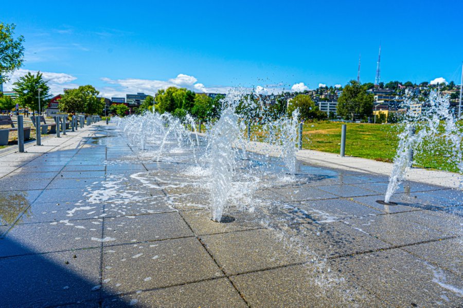 LAKE UNION PARK