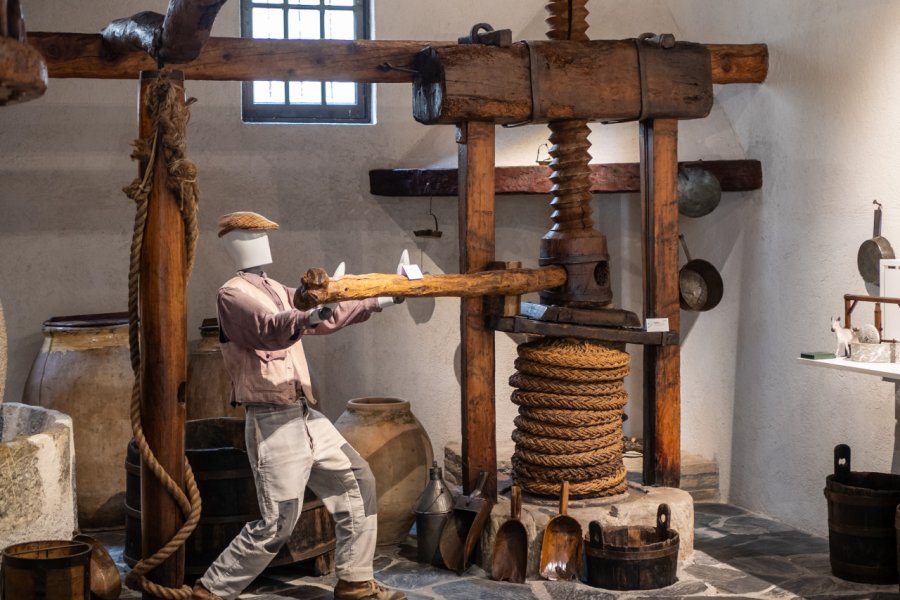 MUSEO DELL'OLIVO CARLO CARLI