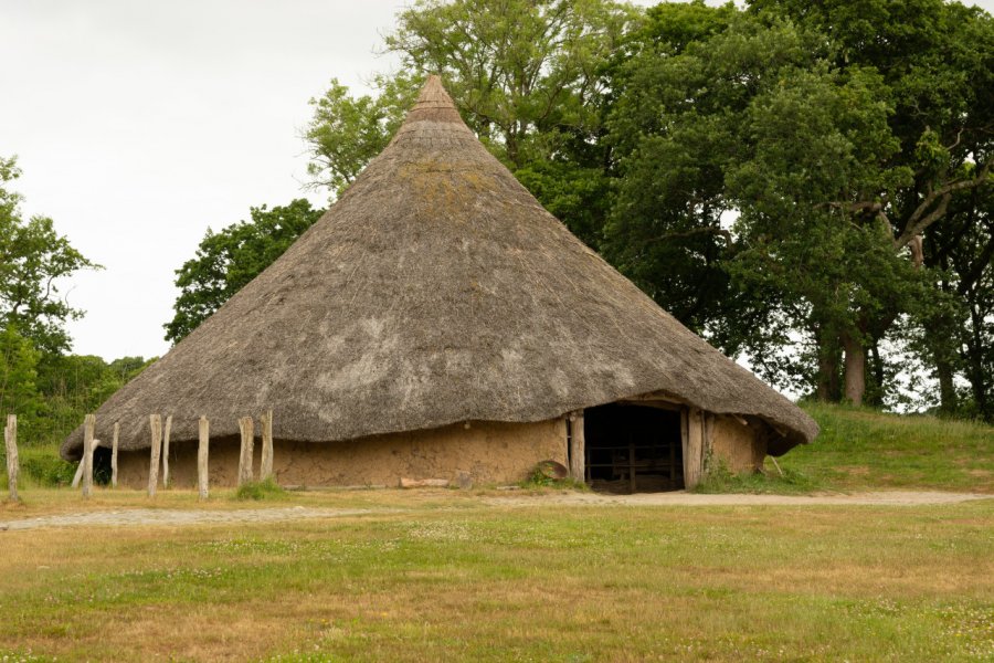 CASTELL HENLLYS