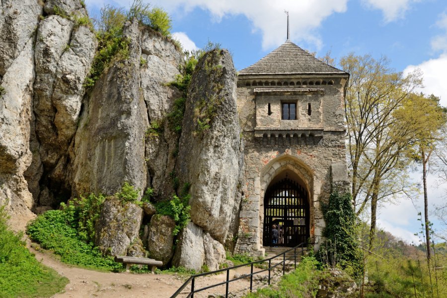 CHÂTEAU D'OJCÓW