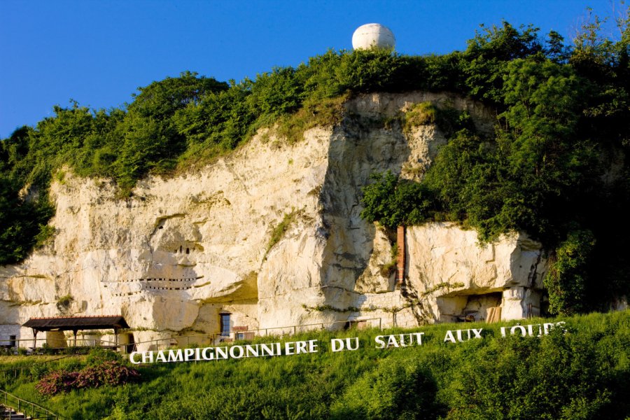LE SAUT AUX LOUPS