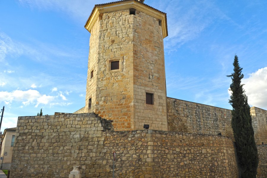 CASTILLO DEL MORAL
