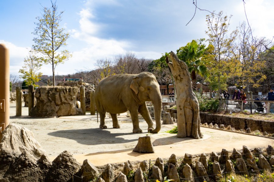 HIGASHIYAMA ZOO AND BOTANICAL GARDENS