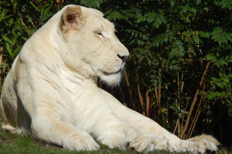 ZOO DU BASSIN D'ARCACHON