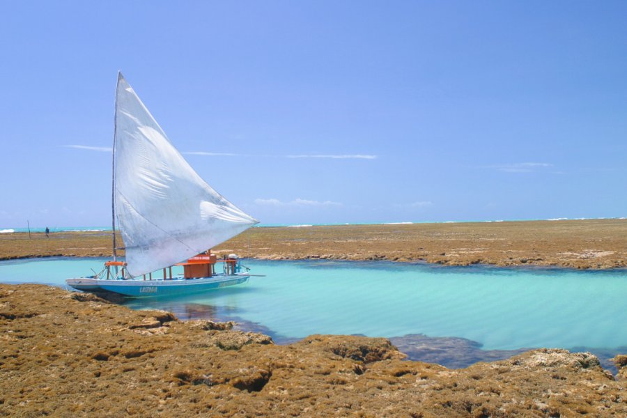 PISCINES NATURELLES
