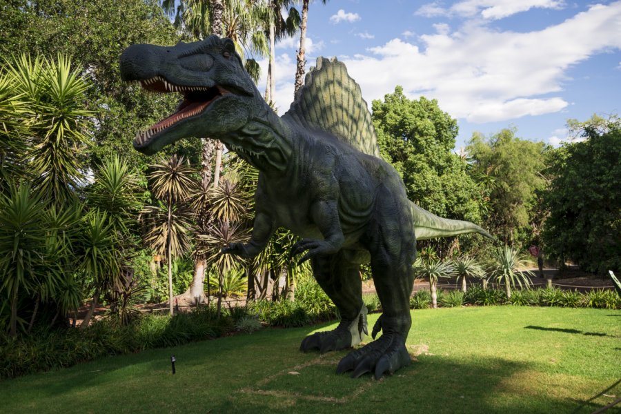 PERTH ZOO