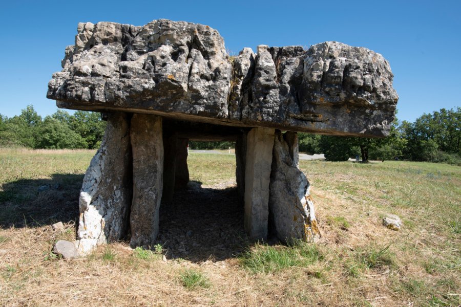 DOLMEN DE PEYRO LEVADO DIT DE VAOUR