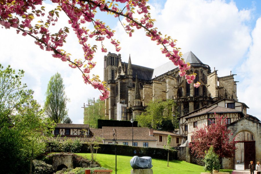 LA CATHÉDRALE SAINT-ÉTIENNE