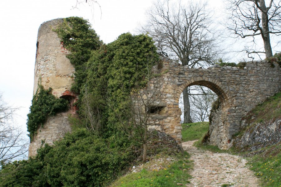 CHÂTEAU DE FERRETTE