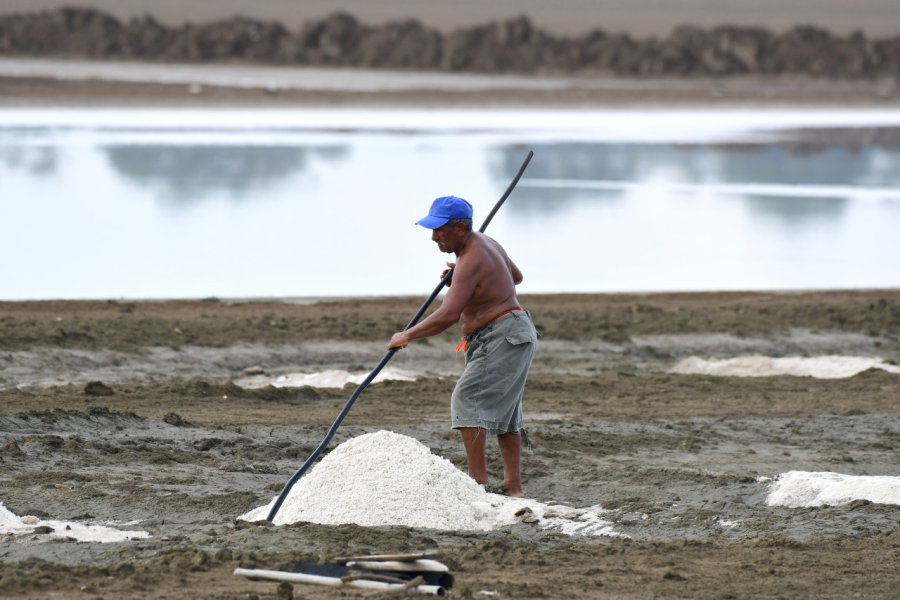 LAS SALINAS